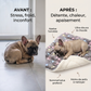 Couverture douillette et apaisante pour chats et chiens