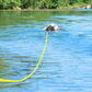 Longe Imperméable pour Chien - 5M - 10M - 15M - 20M