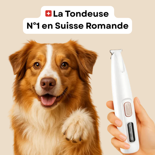 Tondeuse pour pattes