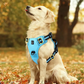 Harnais Confort Anti-traction pour Chien