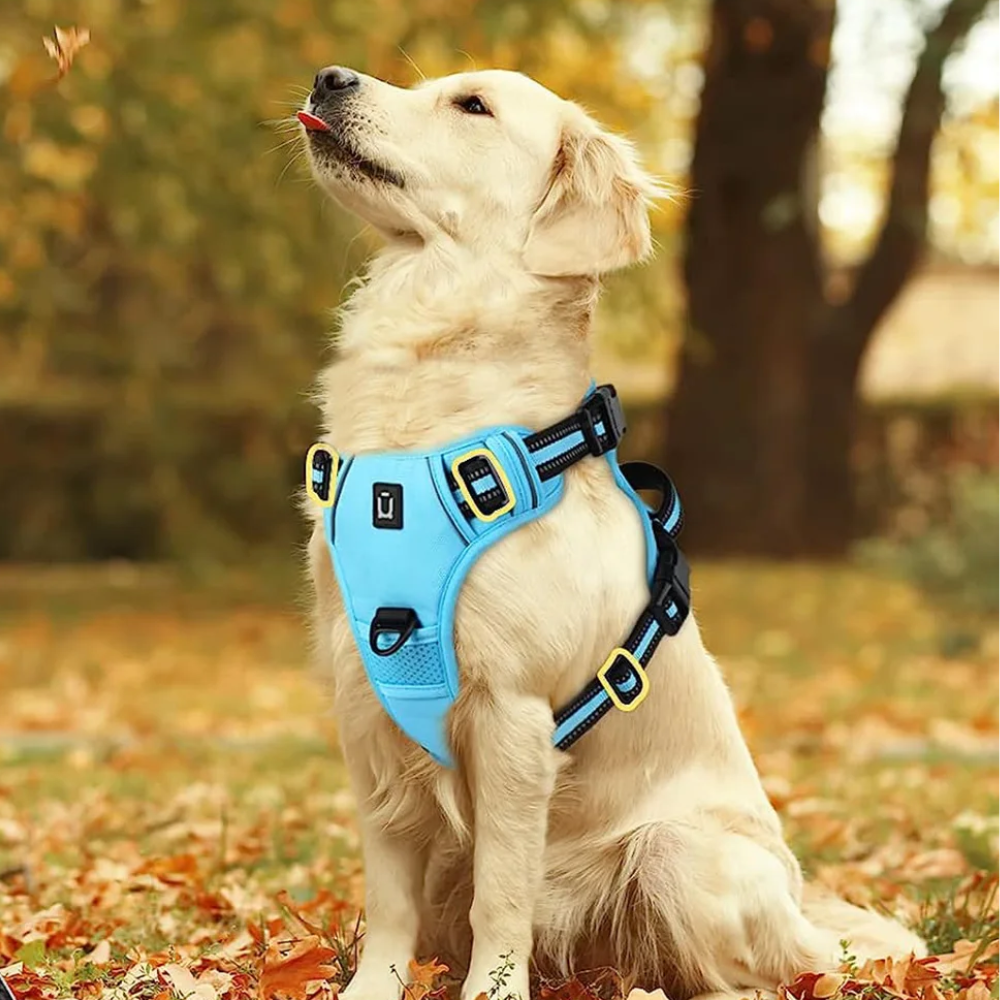 Harnais Confort Anti-traction pour Chien