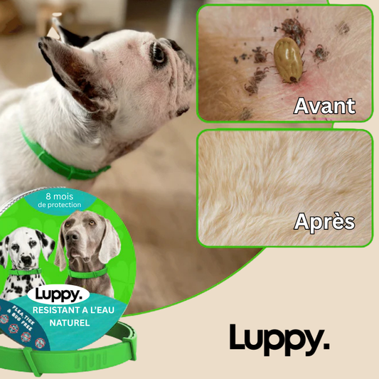 Collier Naturel Anti Puces et Tiques