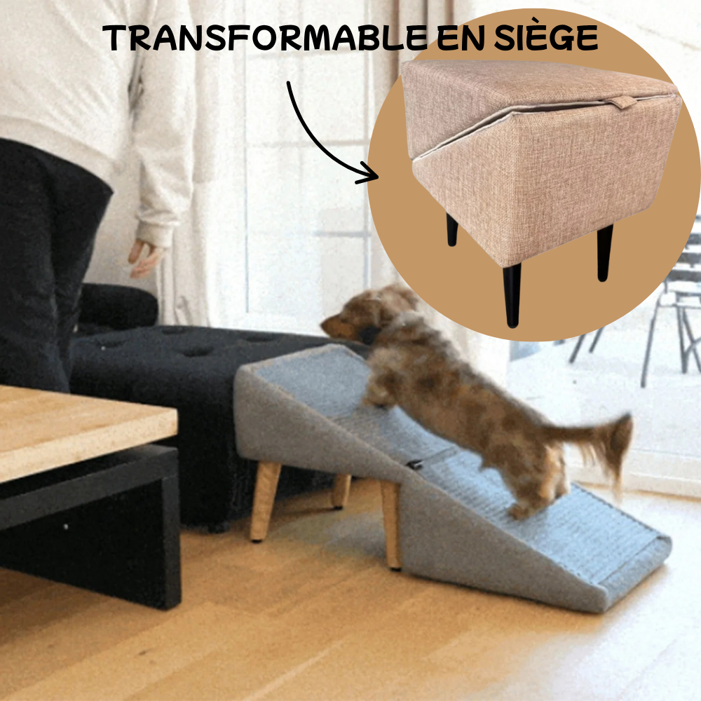 Rampe Repliable pour Chiens avec Revêtement Lavable