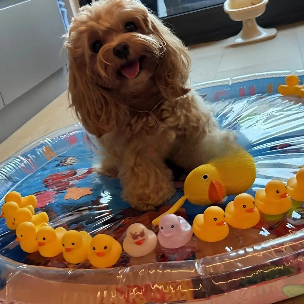 Tapis Aquatique Rafraîchissant – Confort d’Été pour Chien & Chat