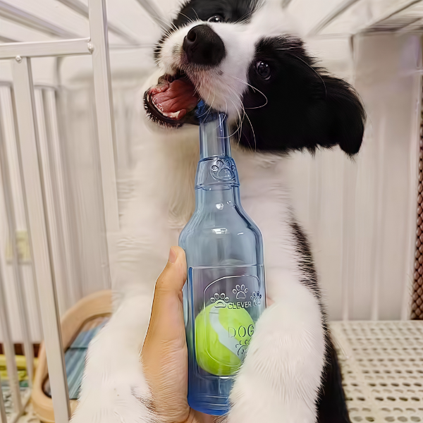 Jouet à mâcher bouteille avec balle pour chien – Amusement & anti-stress