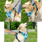 Harnais Confort Anti-traction pour Chien
