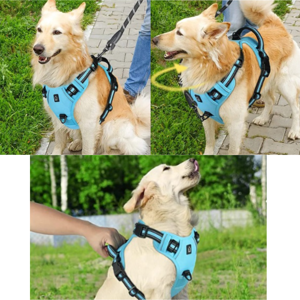 Harnais Confort Anti-traction pour Chien