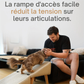 Rampe Repliable pour Chiens avec Revêtement Lavable
