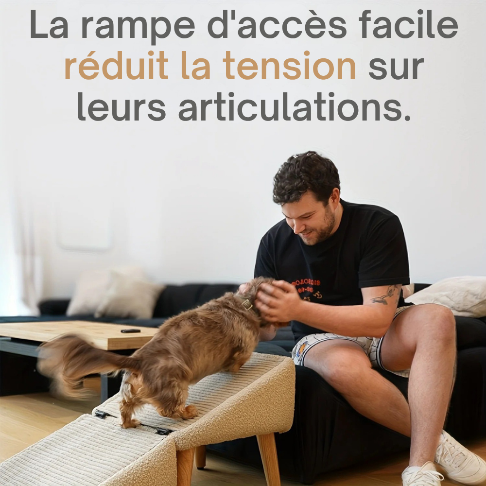 Rampe Repliable pour Chiens avec Revêtement Lavable
