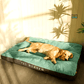 Lit matelas orthopédique à rayures pour Chien toutes saisons
