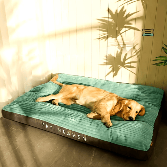 Lit matelas orthopédique à rayures pour Chien toutes saisons