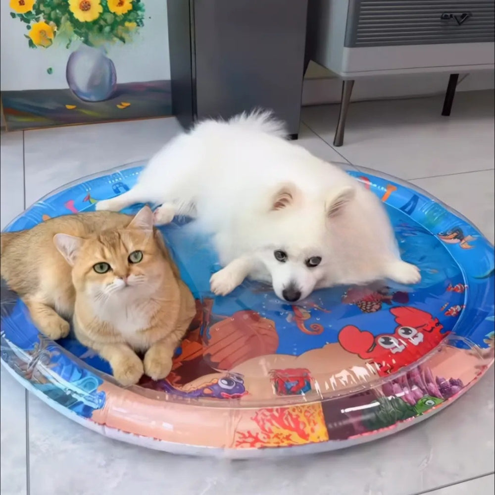 Tapis Aquatique Rafraîchissant – Confort d’Été pour Chien & Chat