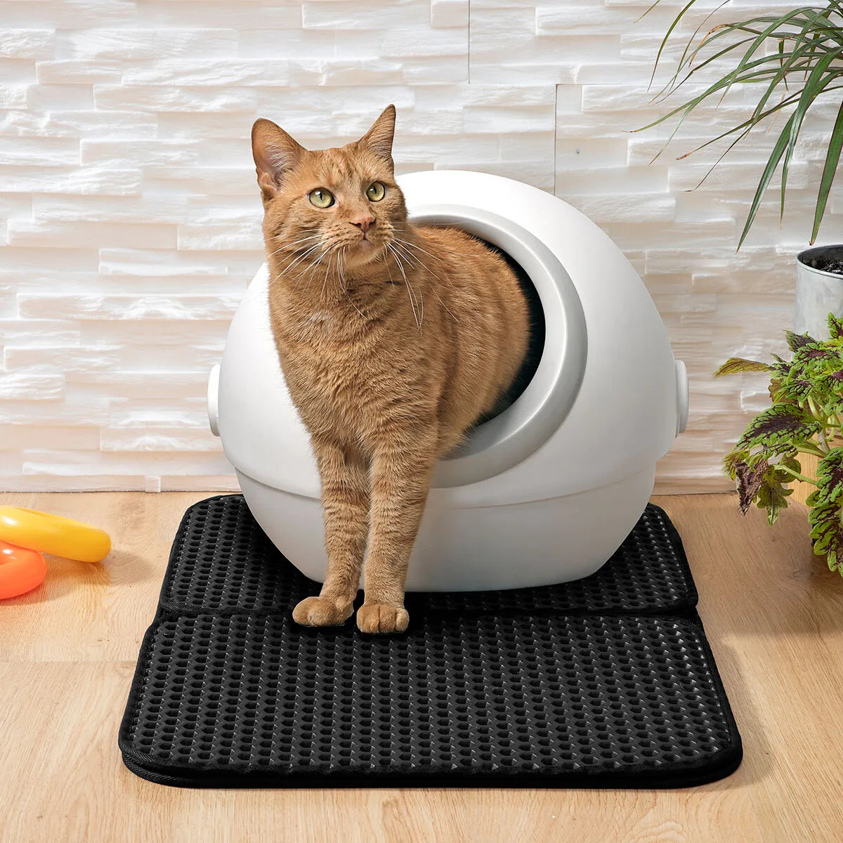 Tapis de litière pour chat – Double couche anti-projections