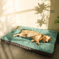 Lit matelas orthopédique à rayures pour Chien toutes saisons