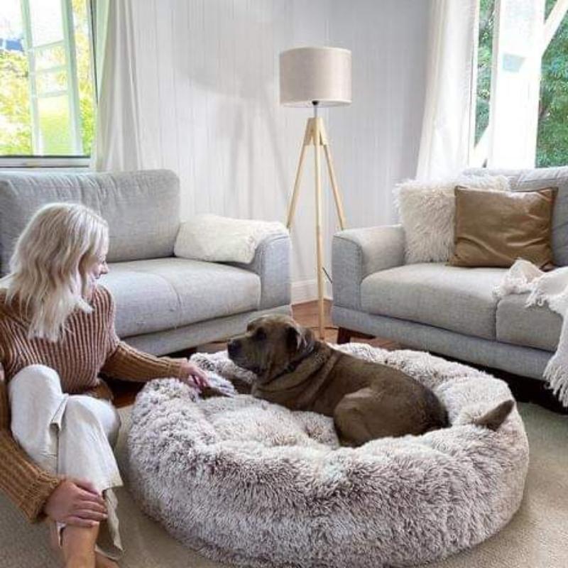 Coussin douillet anti-stress pour chien