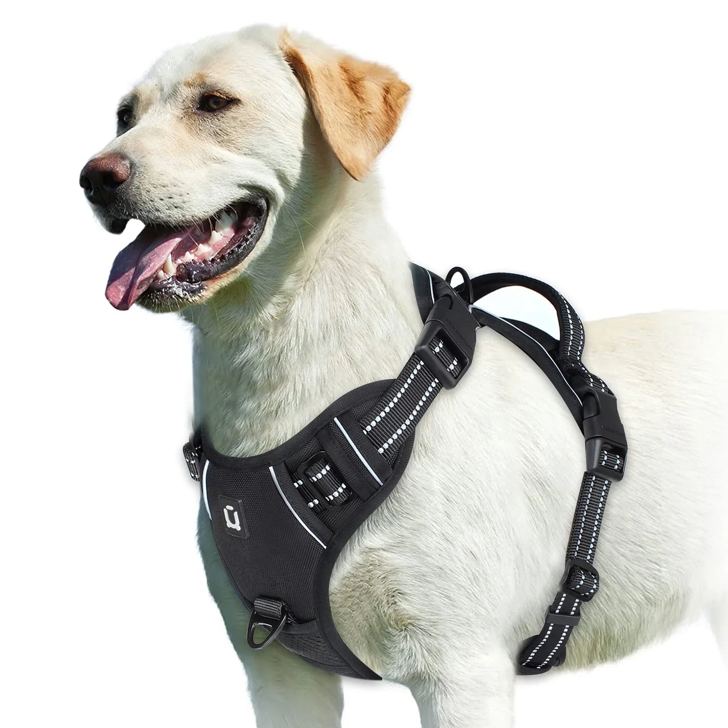 Harnais Confort Anti-traction pour Chien
