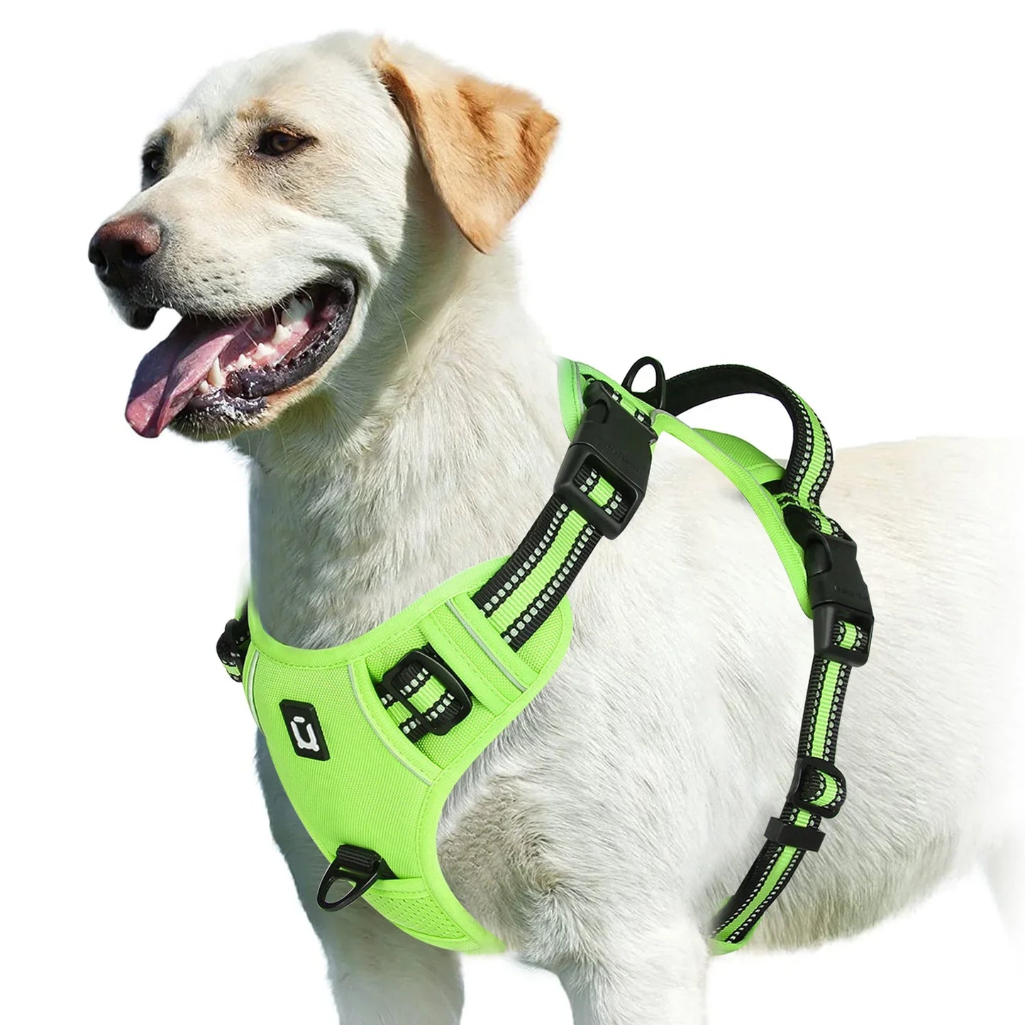 Harnais Confort Anti-traction pour Chien