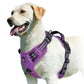 Harnais Confort Anti-traction pour Chien