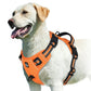 Harnais Confort Anti-traction pour Chien