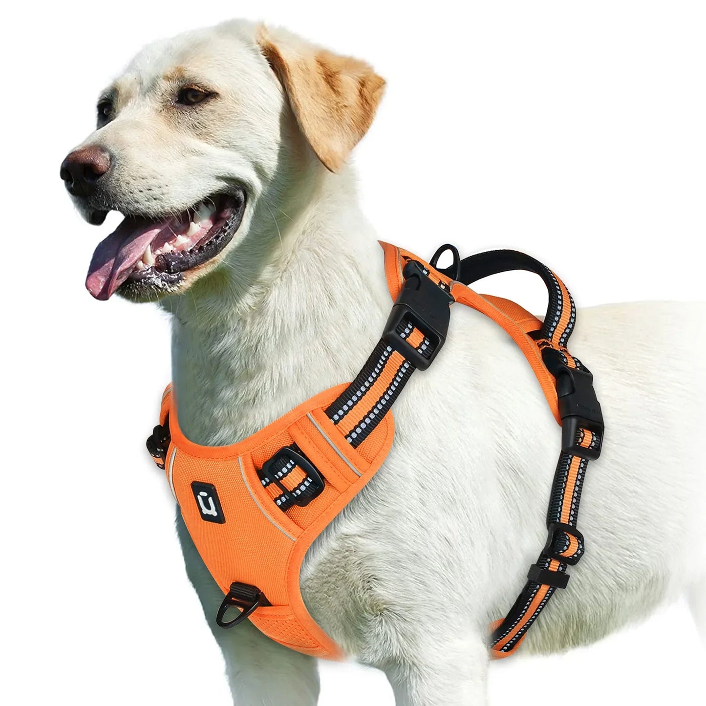 Harnais Confort Anti-traction pour Chien