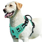 Harnais Confort Anti-traction pour Chien