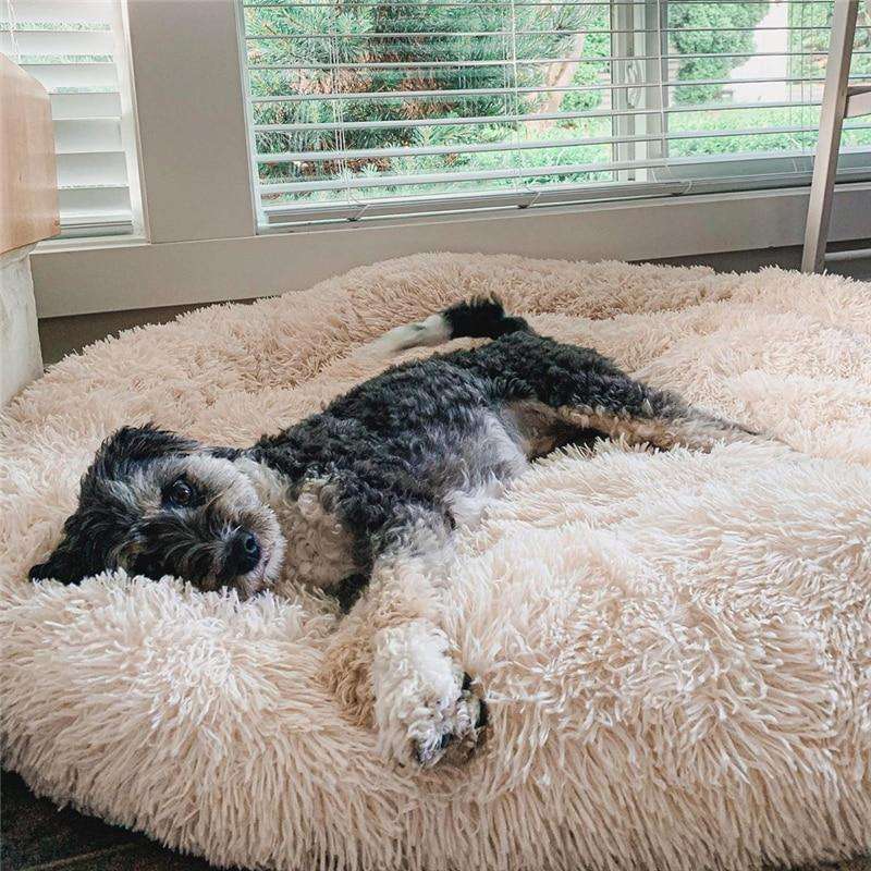 Coussin douillet anti-stress pour chien