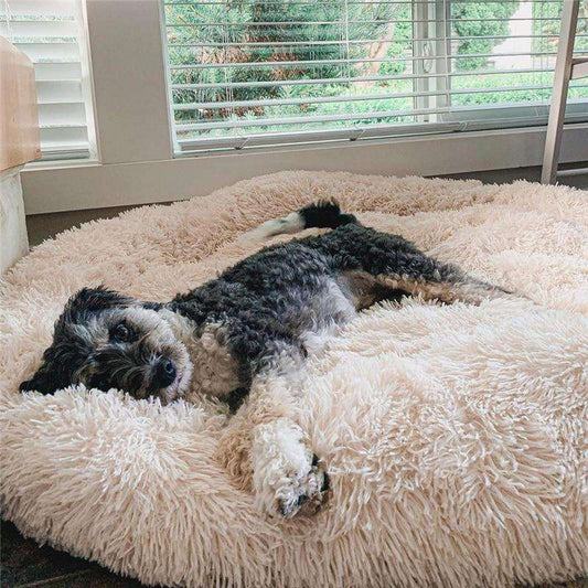 Coussin douillet anti-stress pour chien