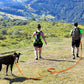 Longe Imperméable pour Chien - 5M - 10M - 15M - 20M