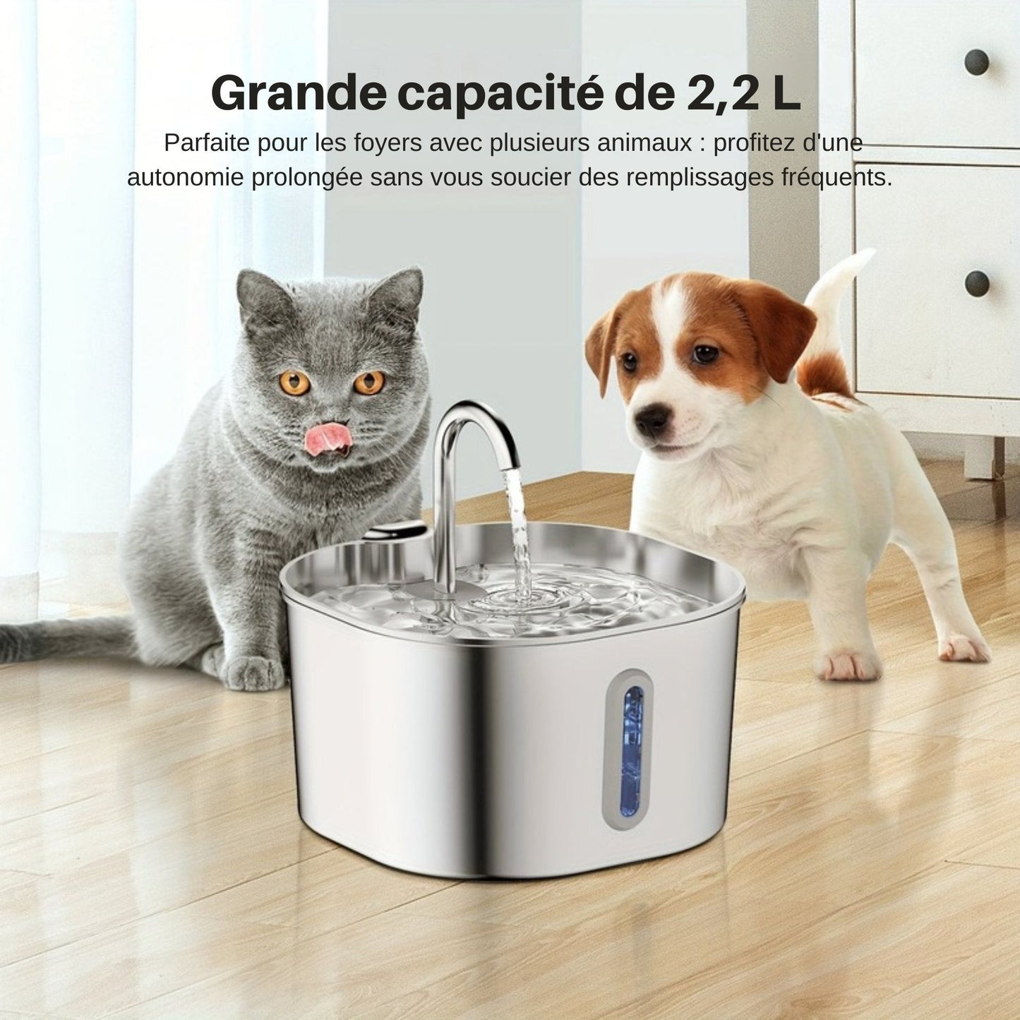 Fontaine 2.2L inox ultra-silencieuse pour chat & petit chien