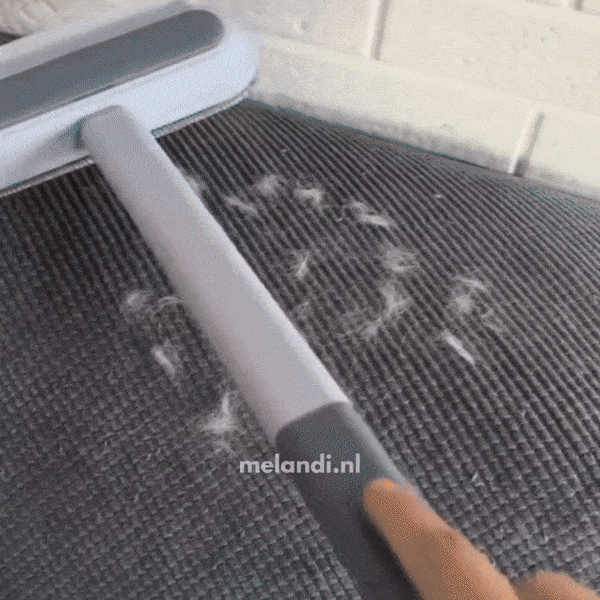 Brosse de nettoyage pour poils, fibres textiles et poussière