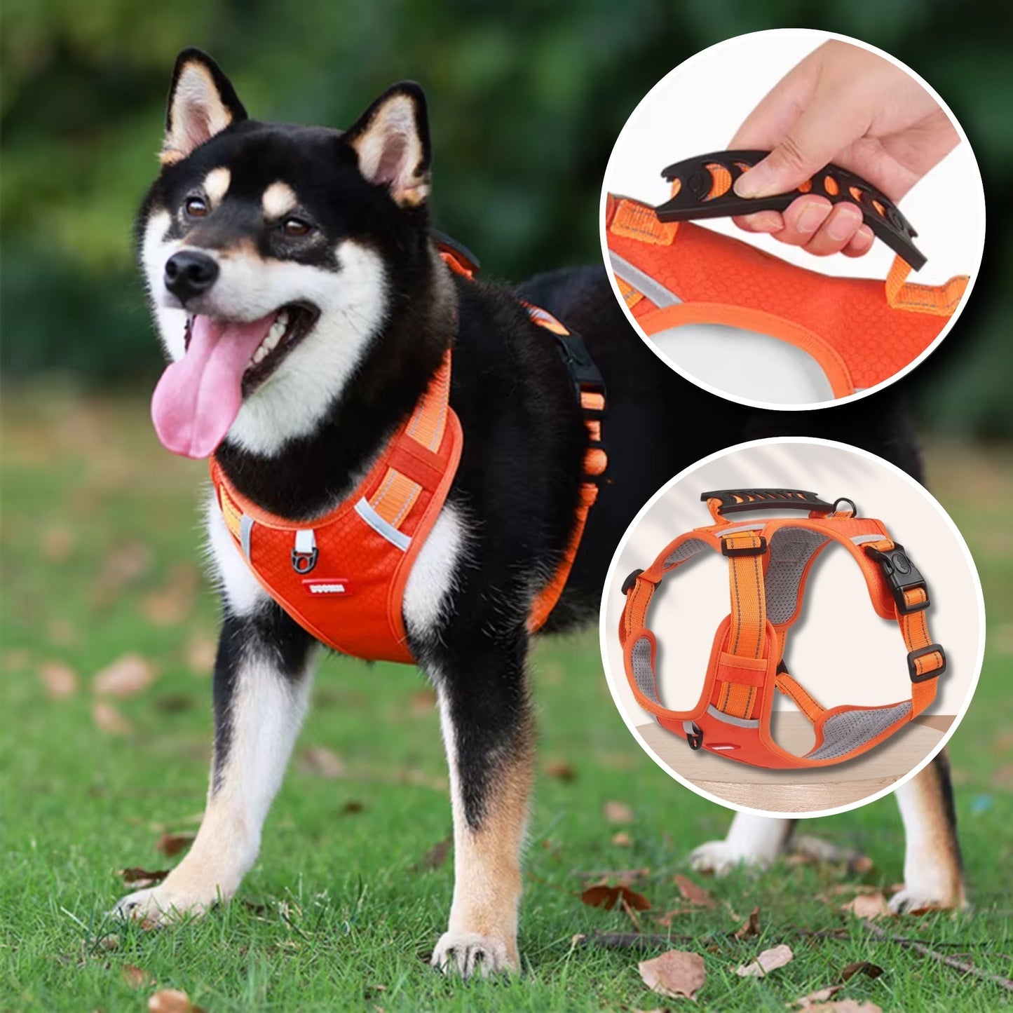 Harnais Anti-Traction Réglable