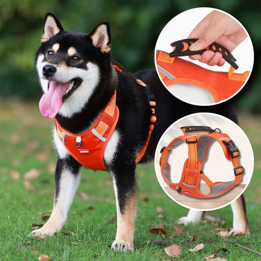 Harnais Anti-Traction Réglable