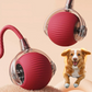 Balle interactive avec queue pour chien – Jeu actif et amusant